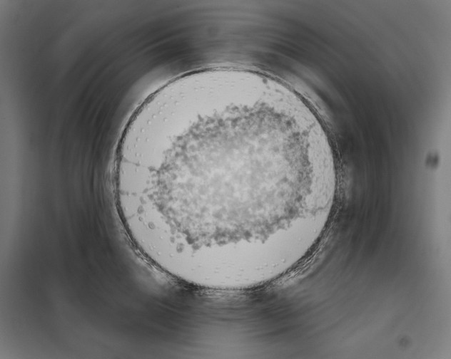 X0000097890856200804041308