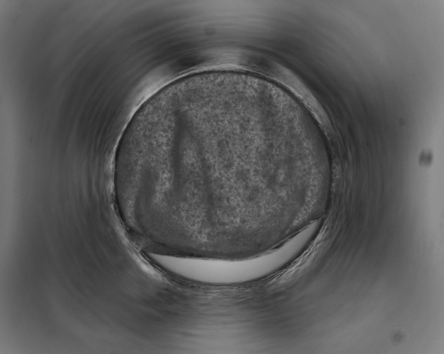 X0000097890858200804041308