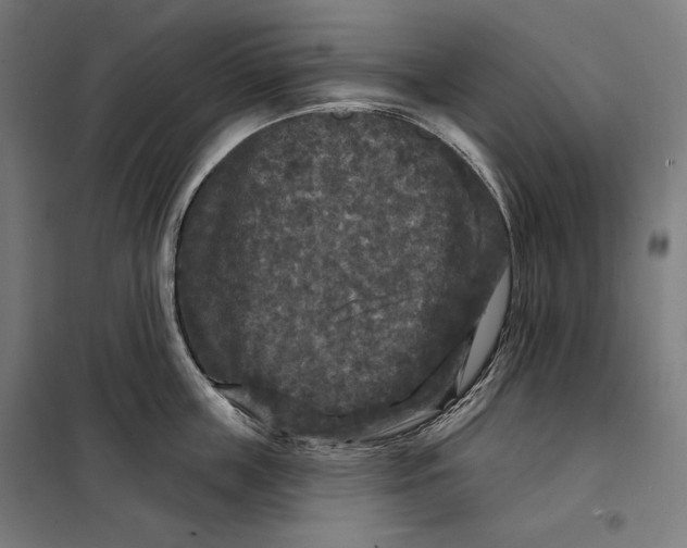 X0000097890859200804041308