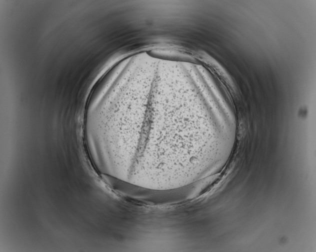 X0000097890860200804041308