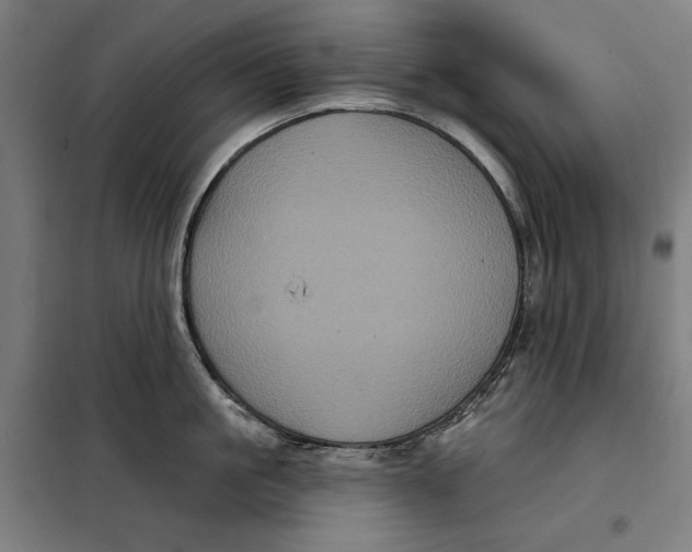 X0000097890861200804041308