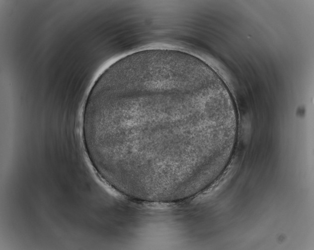 X0000097890862200804041308