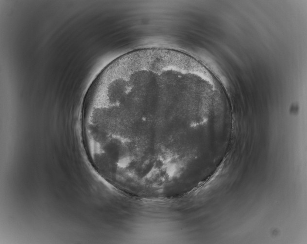 X0000097890863200804041308