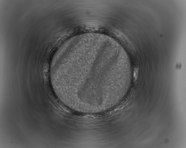 X0000097890867200804041308