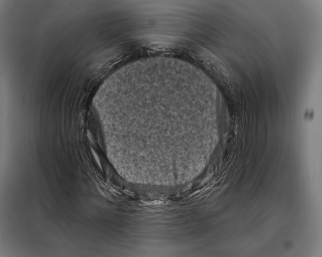 X0000097890868200804041308