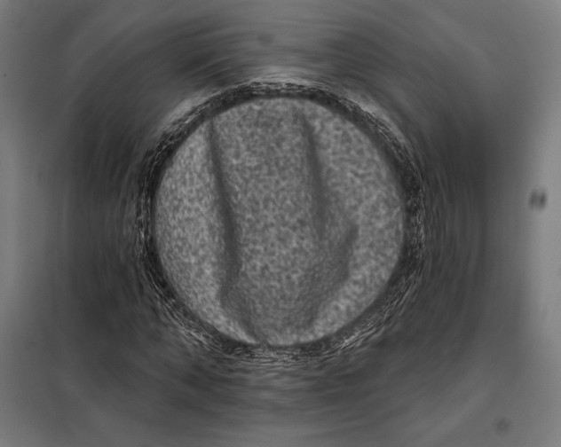 X0000097890870200804041308