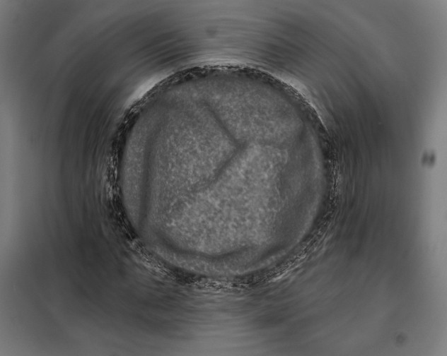 X0000097890871200804041308