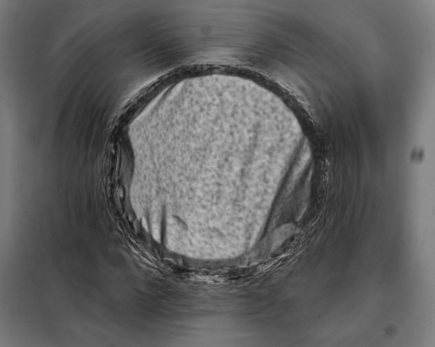 X0000097890872200804041308