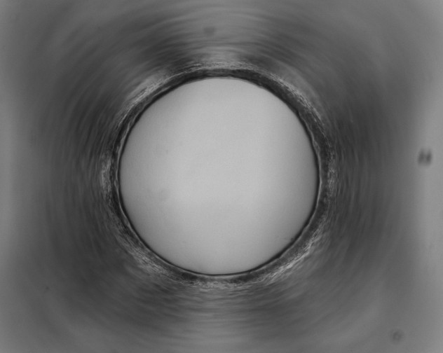 X0000097890873200804041307