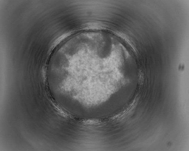 X0000097890874200804041307