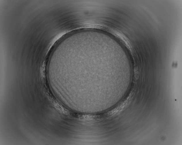 X0000097890875200804041307