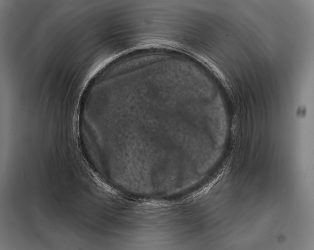 X0000097890877200804041307