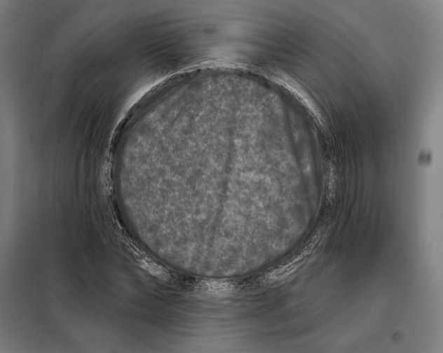 X0000097890878200804041307