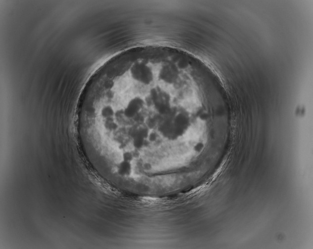 X0000097890879200804041307