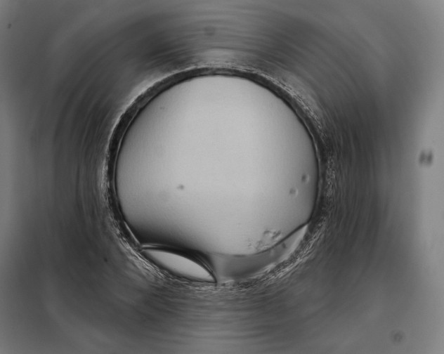 X0000097890880200804041307