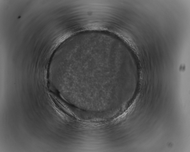 X0000097890881200804041307