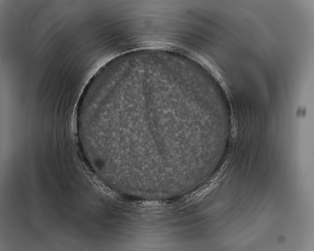 X0000097890883200804041307