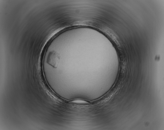 X0000097890884200804041307