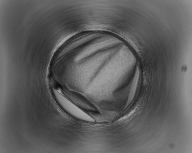 X0000097890885200804041307