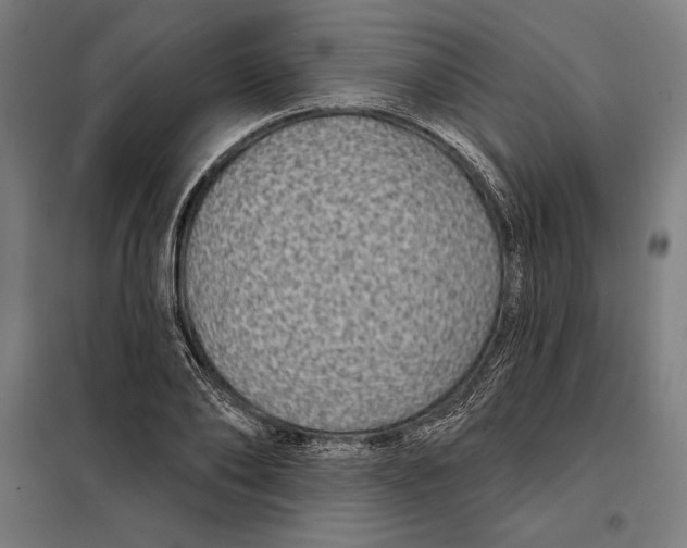 X0000097890886200804041307