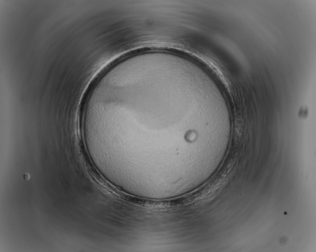 X0000097890887200804041307