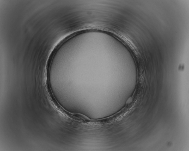 X0000097890888200804041307