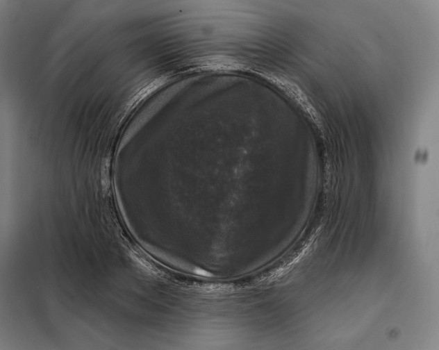 X0000097890889200804041307