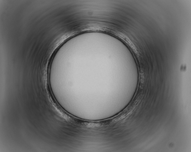 X0000097890890200804041307