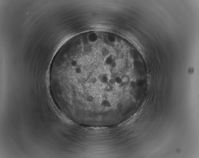 X0000097890891200804041307