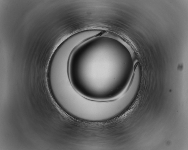 X0000097890893200804041307