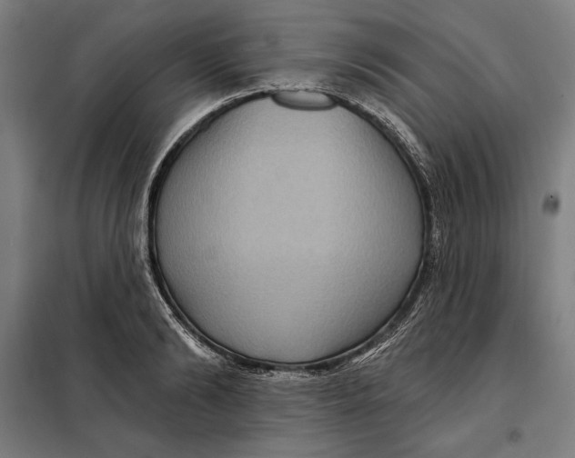 X0000097890894200804041307