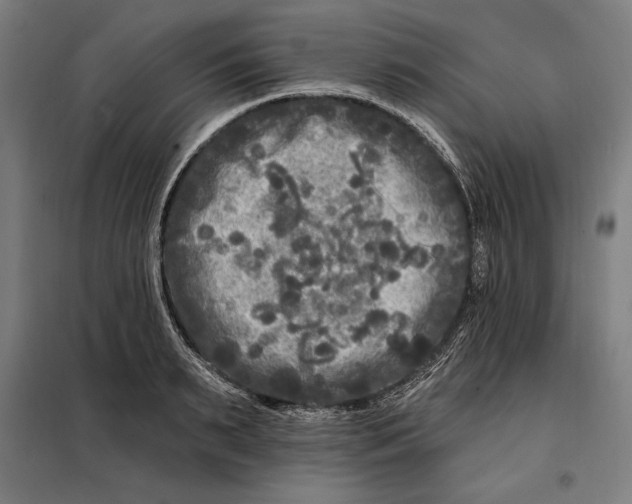 X0000097890895200804041307