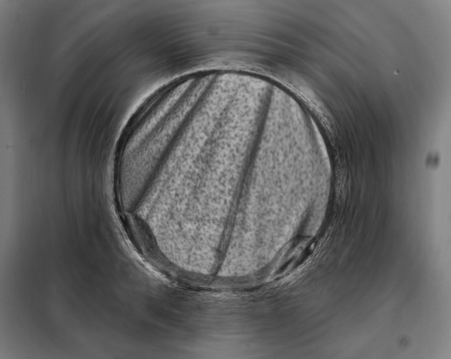 X0000097890896200804041307