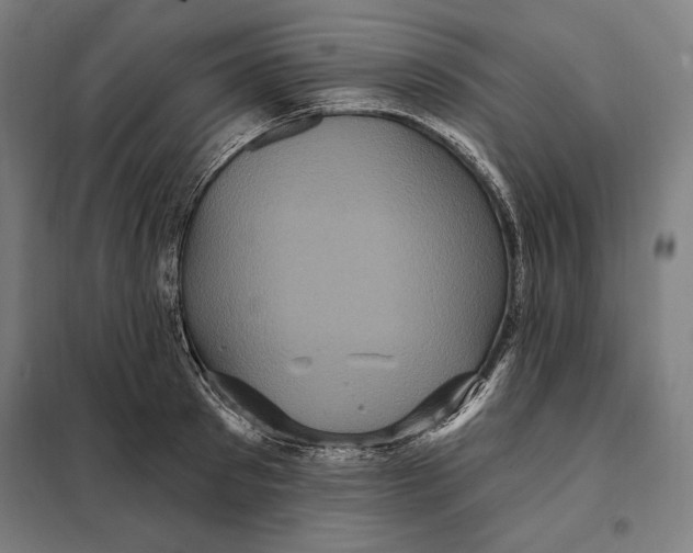 X0000097890897200804041307