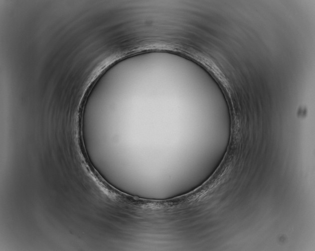 X0000097890898200804041307