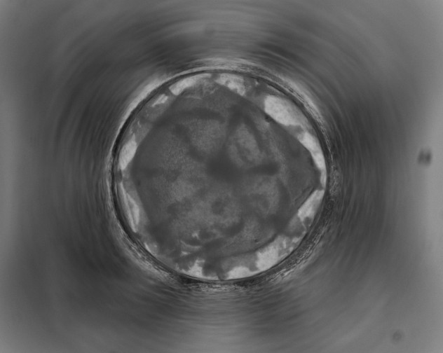 X0000097890899200804041307