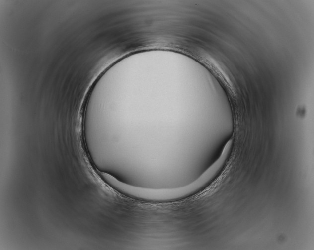 X0000097890900200804041307