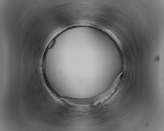 X0000097890901200804041307