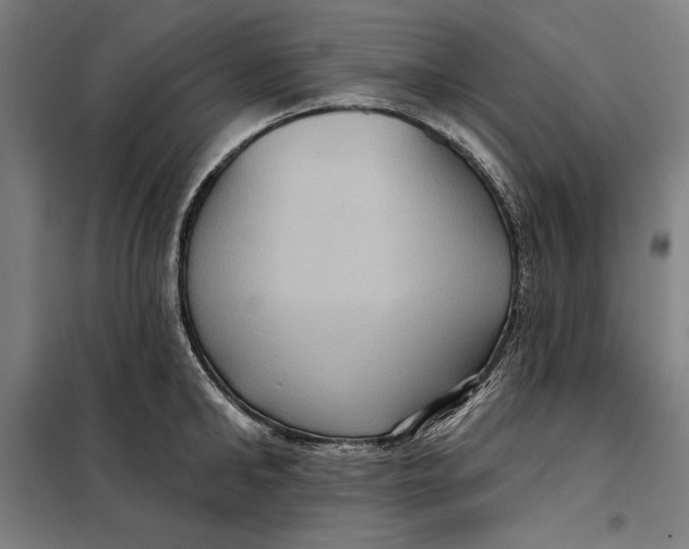 X0000097890902200804041307