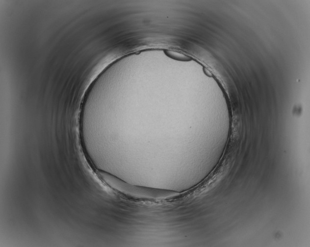 X0000097890906200804041307