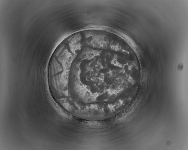 X0000097890907200804041307