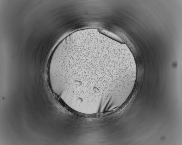 X0000097890908200804041307