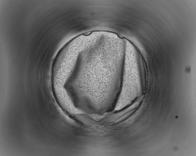 X0000097890910200804041307