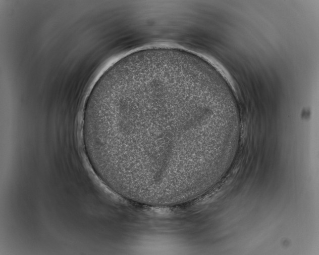 X0000097890911200804041307