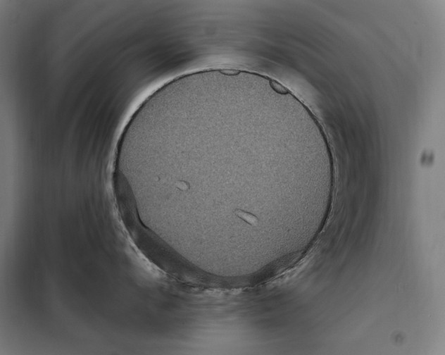 X0000097890912200804041307