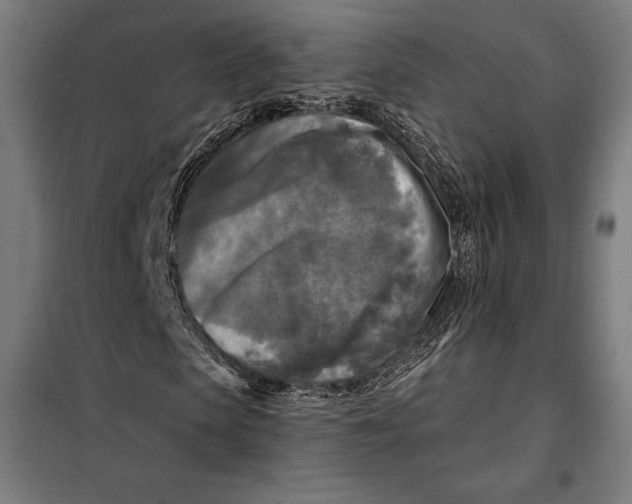 X0000097890913200804041306