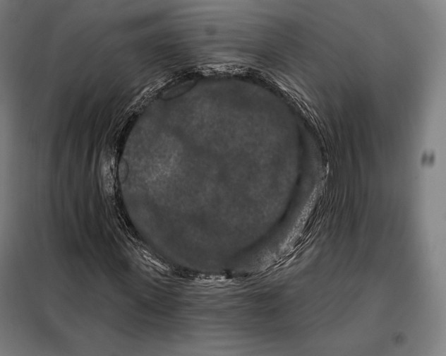 X0000097890915200804041306