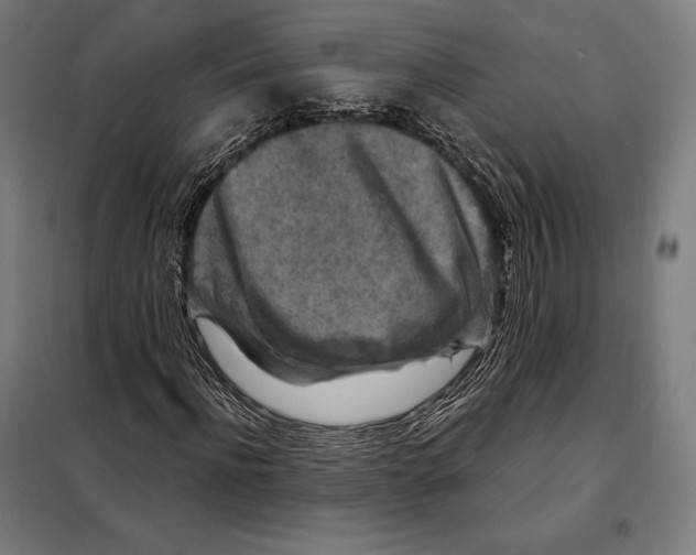 X0000097890916200804041306