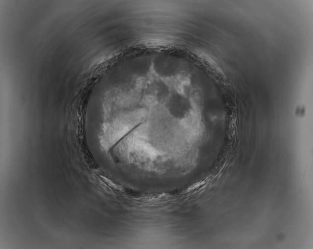 X0000097890917200804041306