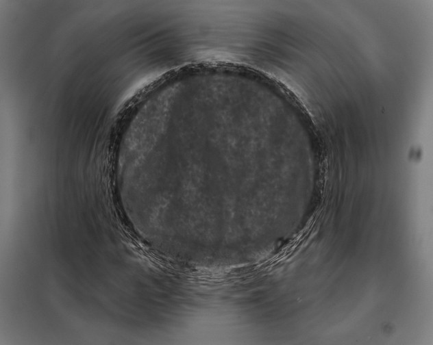 X0000097890919200804041306